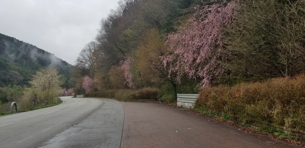 f:id:aoi0730kanon0930:20190629201533j:plain f:id:aoi0730kanon0930:20190629201533j:plain