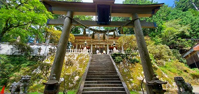 f:id:aoi0730kanon0930:20200905175138j:plain f:id:aoi0730kanon0930:20200905175138j:plain