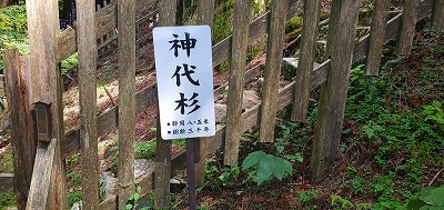 f:id:aoi0730kanon0930:20200905180009j:plain f:id:aoi0730kanon0930:20200905180009j:plain