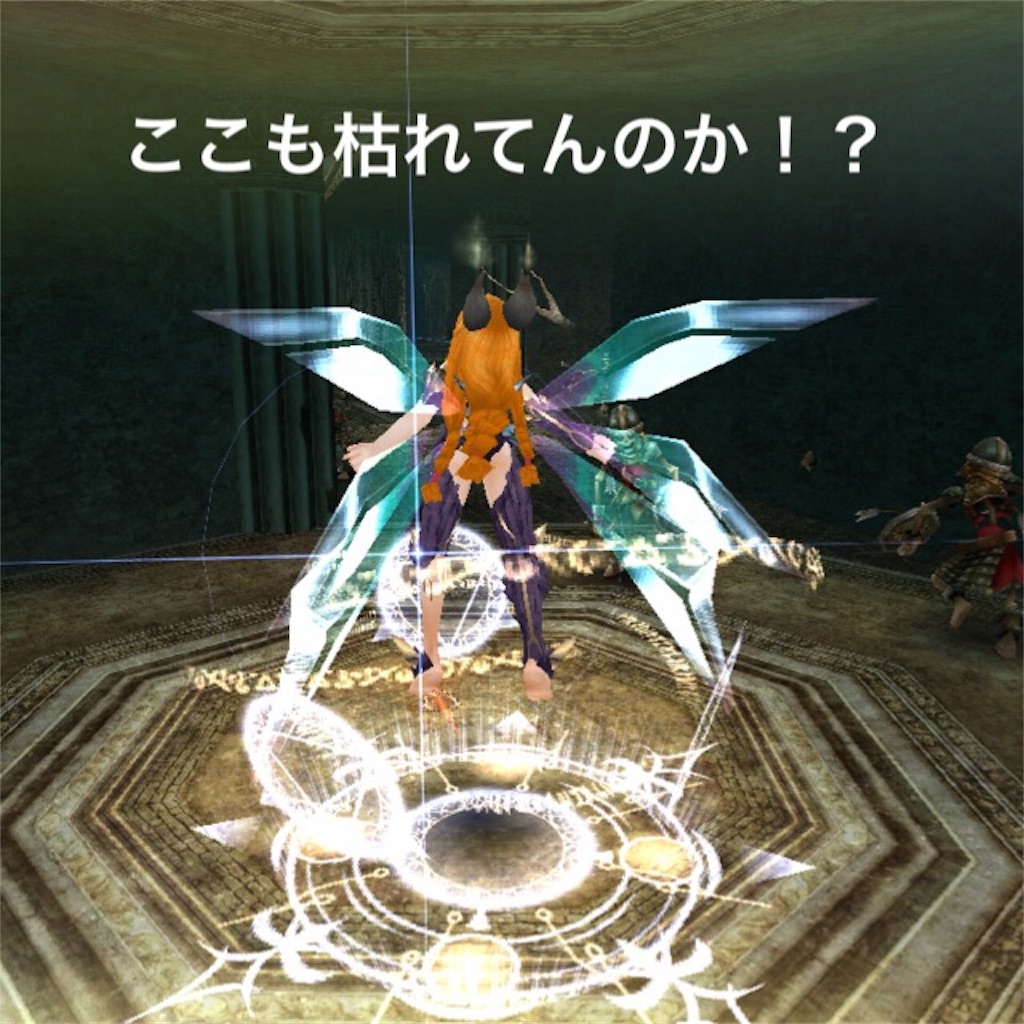 f:id:aoi168:20170910104127j:image f:id:aoi168:20170910104127j:image