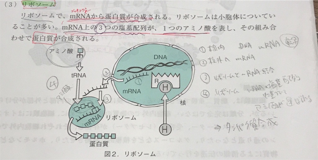 f:id:aoi3blog:20191010212726j:image