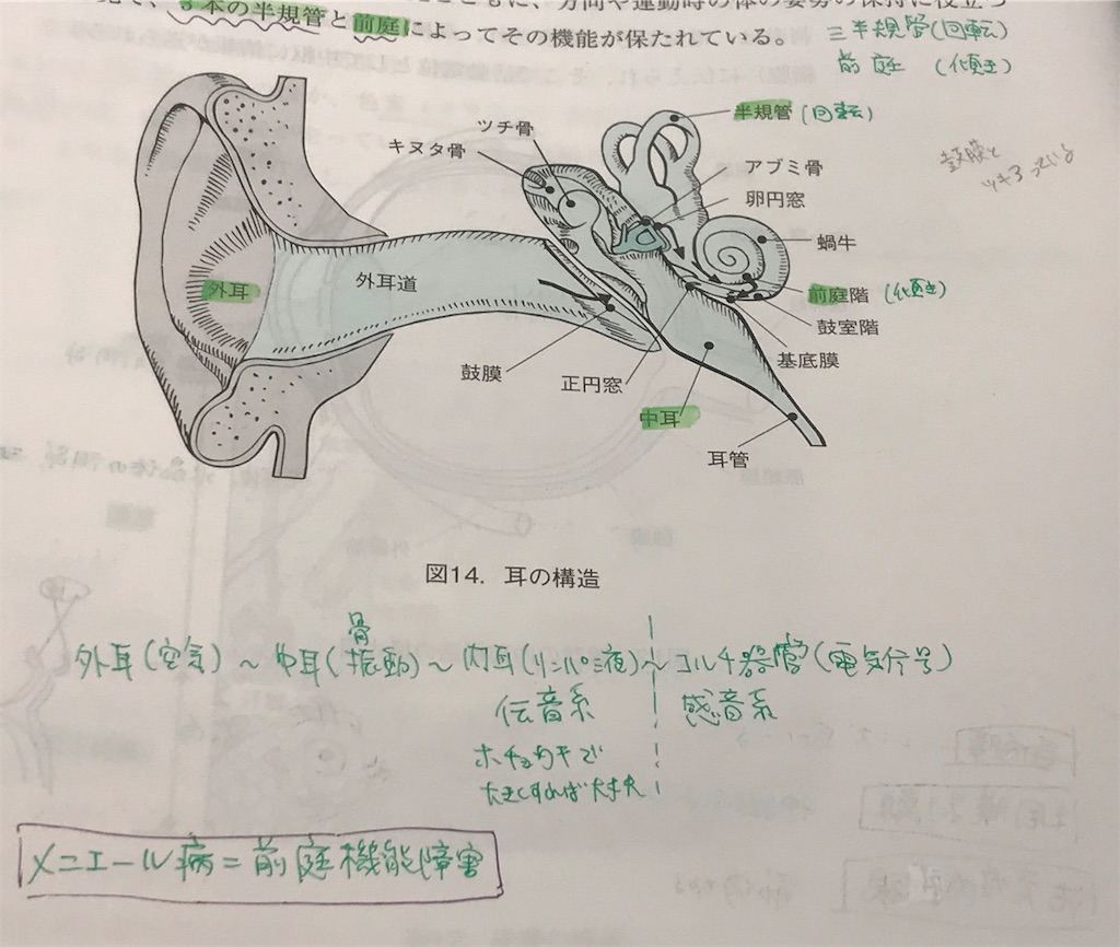 f:id:aoi3blog:20191026172634j:image