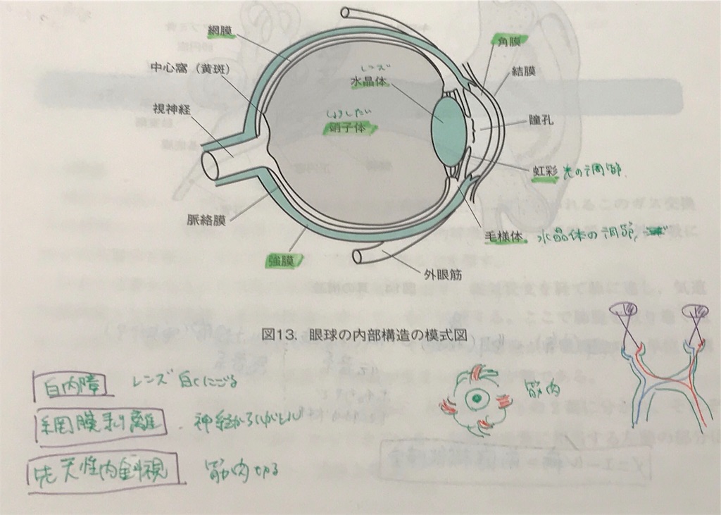 f:id:aoi3blog:20191026173936j:image