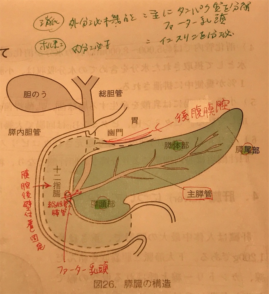f:id:aoi3blog:20191110155115j:image