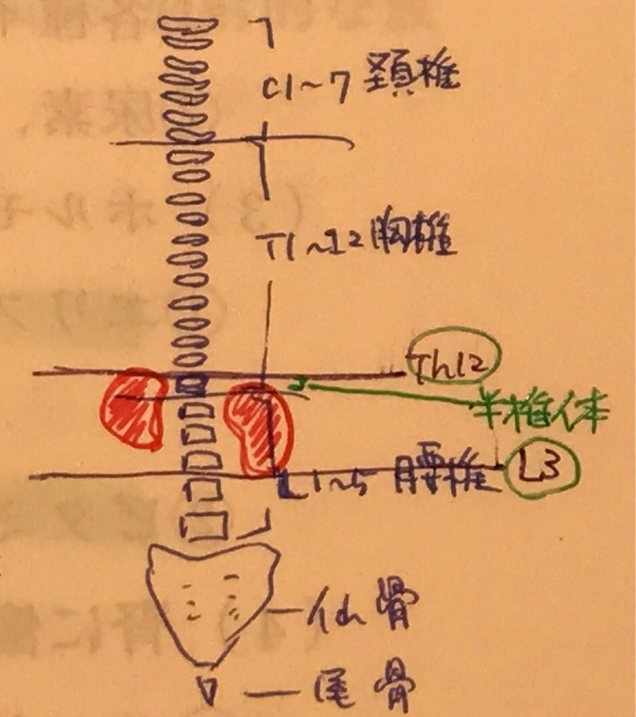 f:id:aoi3blog:20191110160900j:image