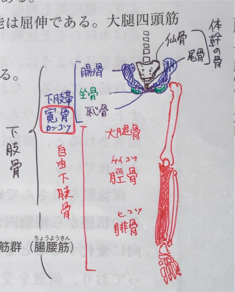 f:id:aoi3blog:20191113205049j:image