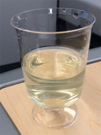 f:id:aoiair:20190413232438j:image