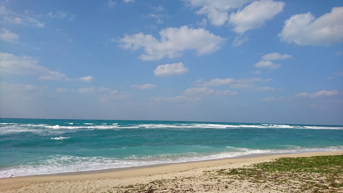 f:id:aoiair:20190423003851j:plain