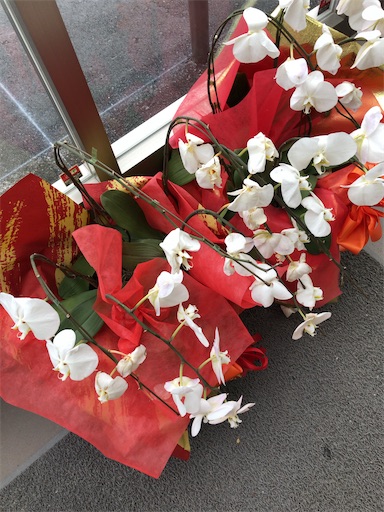 f:id:aoiair:20200119212038j:image