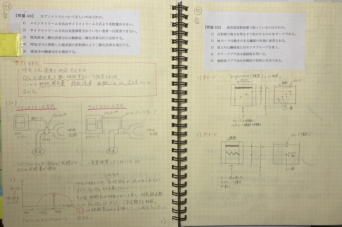 f:id:aoichannel0620:20210907215628j:plain