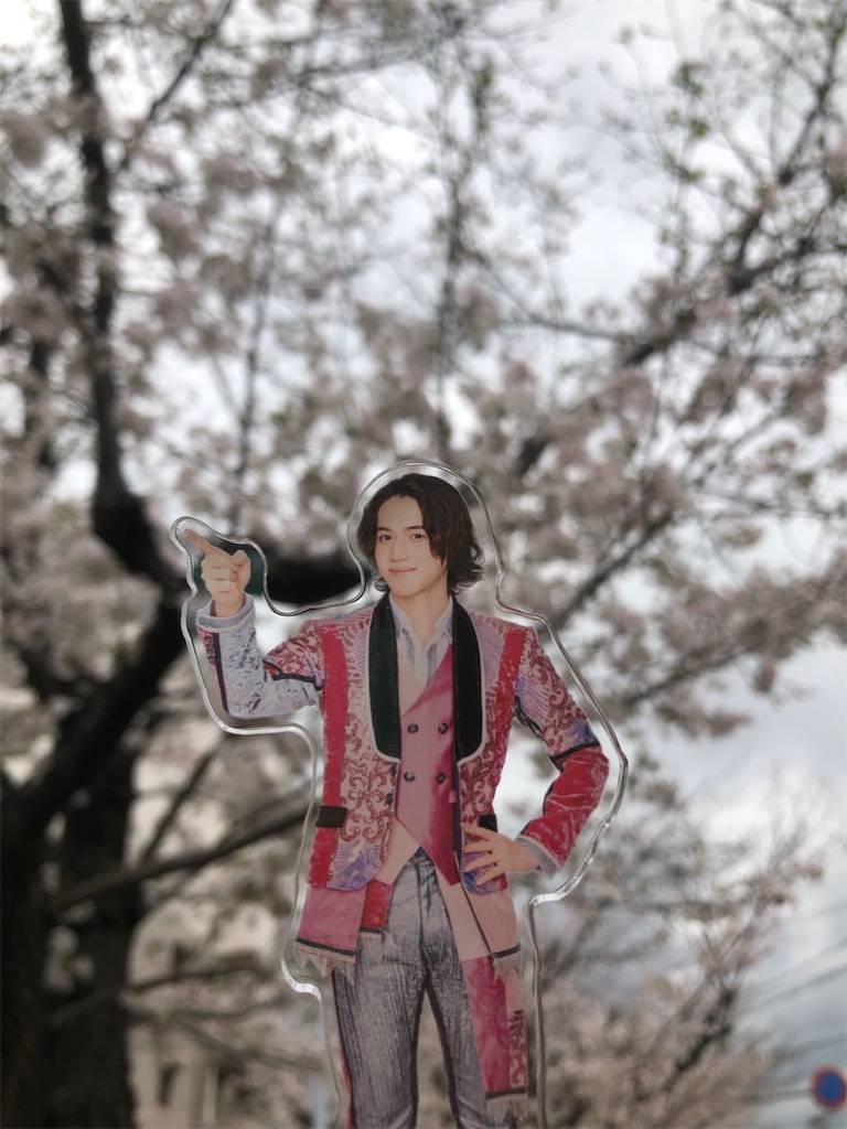 f:id:aoiharugreen:20230418142810j:image f:id:aoiharugreen:20230418142810j:image
