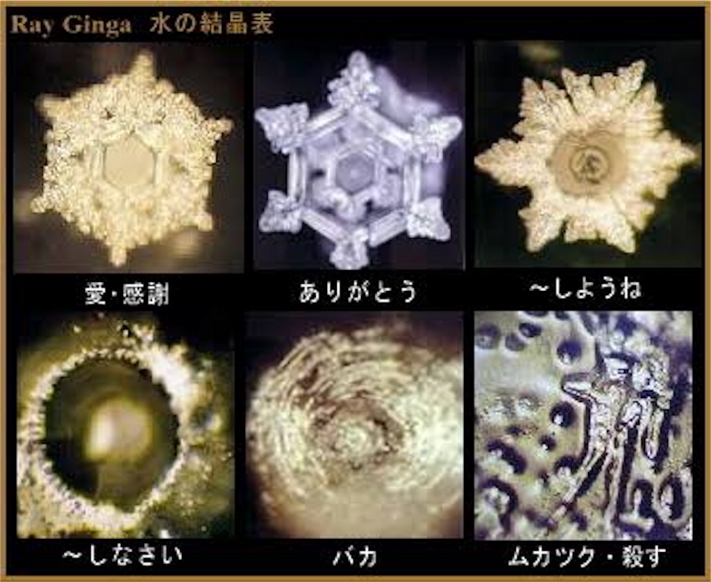 f:id:aoihoshi888:20171001071443j:image f:id:aoihoshi888:20171001071443j:image