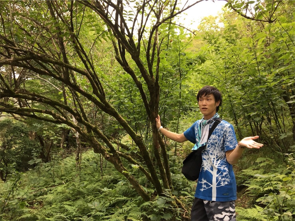 f:id:aoihoshi888:20180919065902j:image f:id:aoihoshi888:20180919065902j:image