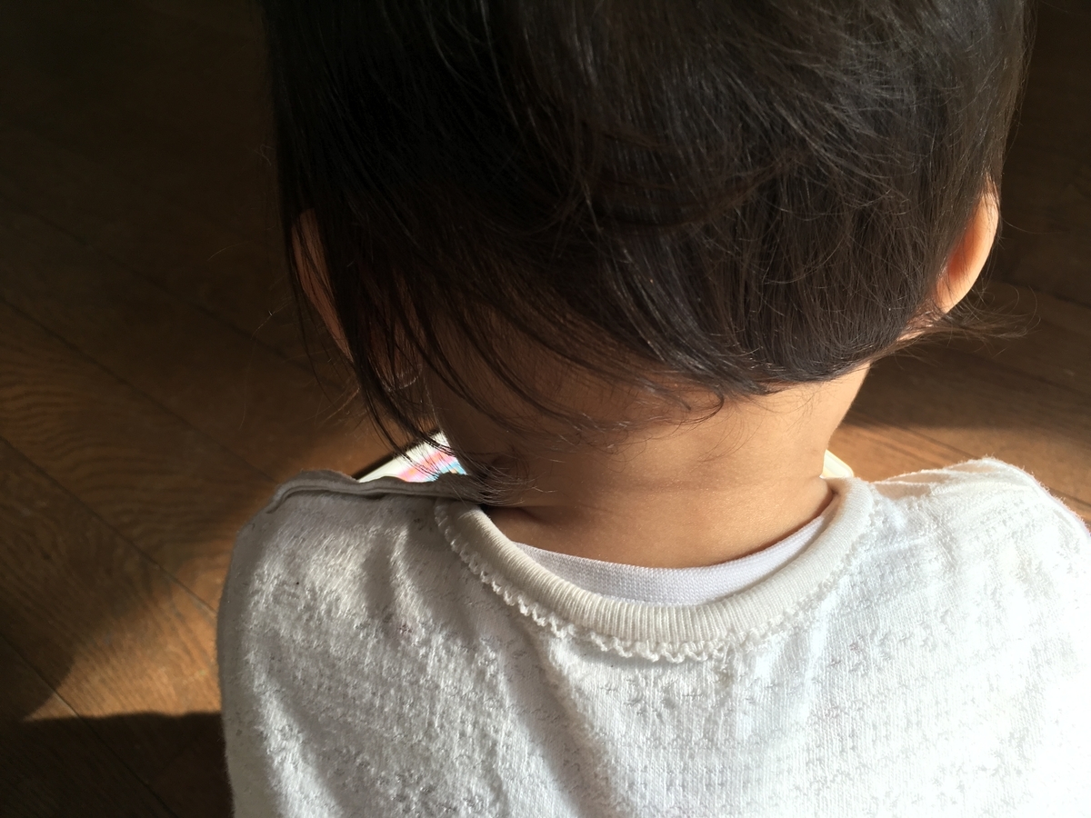 f:id:aoikame:20191119105101j:plain