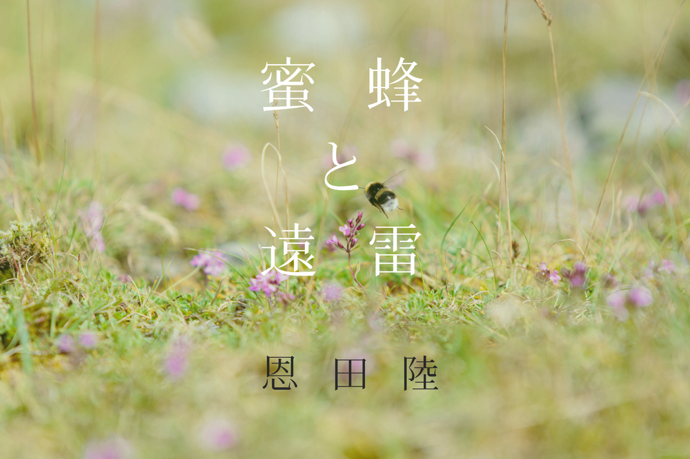 読書感想文 恩田陸 蜜蜂と遠雷 小説から音楽の世界に連れ出してくれる 中卒フリーライターほぼ無職 読書感想文 恩田陸 蜜蜂と遠雷 小説から音楽の世界に連れ出してくれる 中卒フリーライターほぼ無職