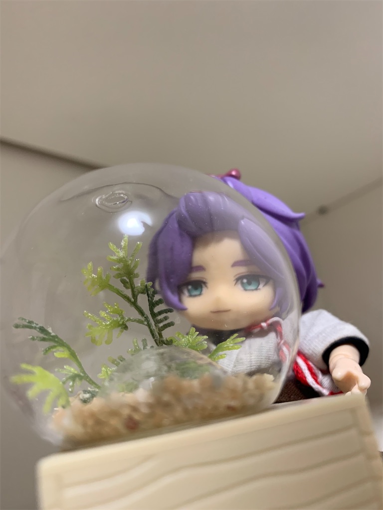 f:id:aoimitora:20211231211201j:image