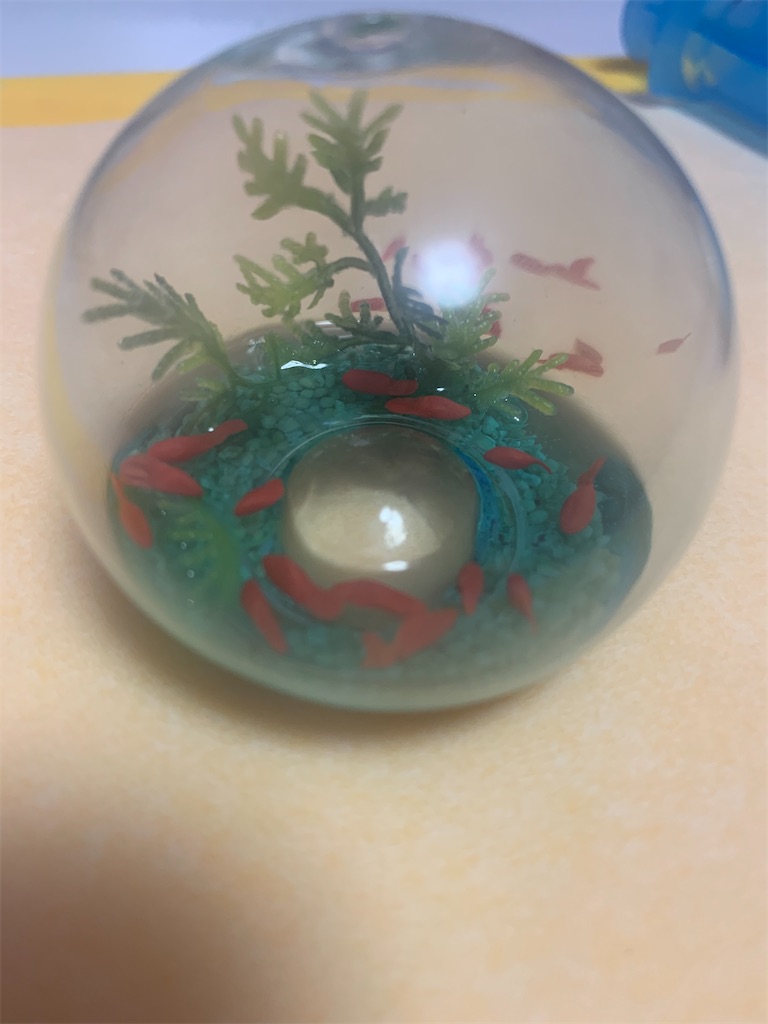 f:id:aoimitora:20211231211204j:image