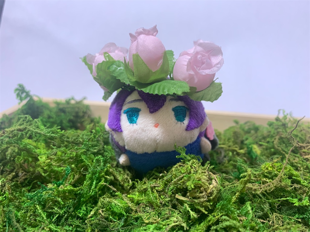 f:id:aoimitora:20211231212209j:image