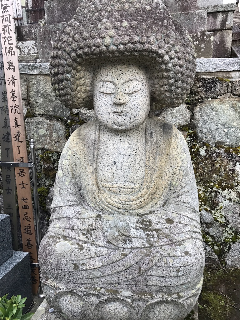 f:id:aoimonn:20170210071630j:image