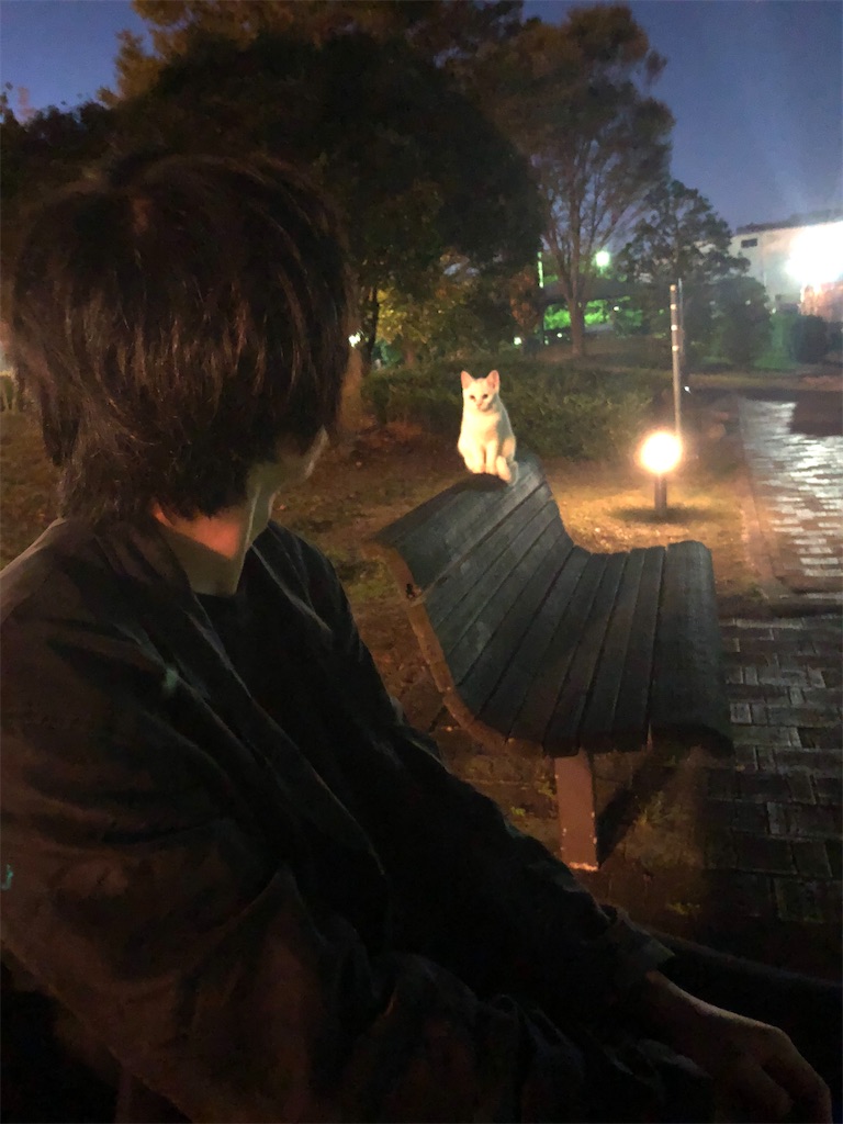 f:id:aoimurakami:20220305213439j:image