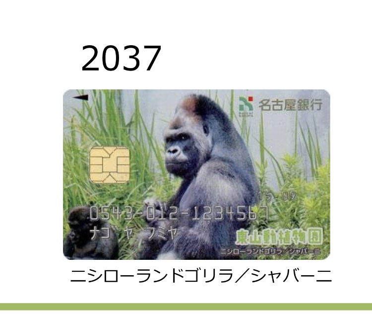 f:id:aoinabe:20190124192917j:plain f:id:aoinabe:20190124192917j:plain