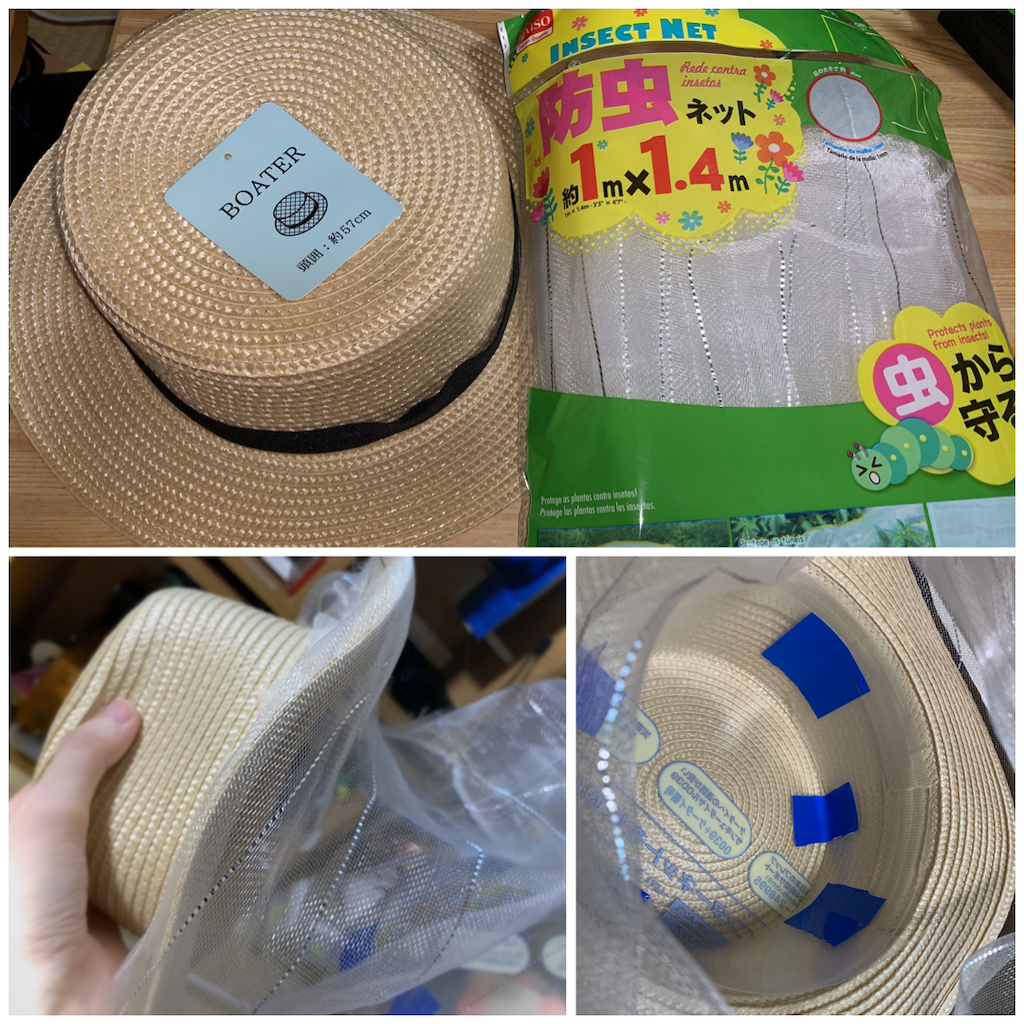 f:id:aoinu-mk:20200714230743p:plain f:id:aoinu-mk:20200714230743p:plain