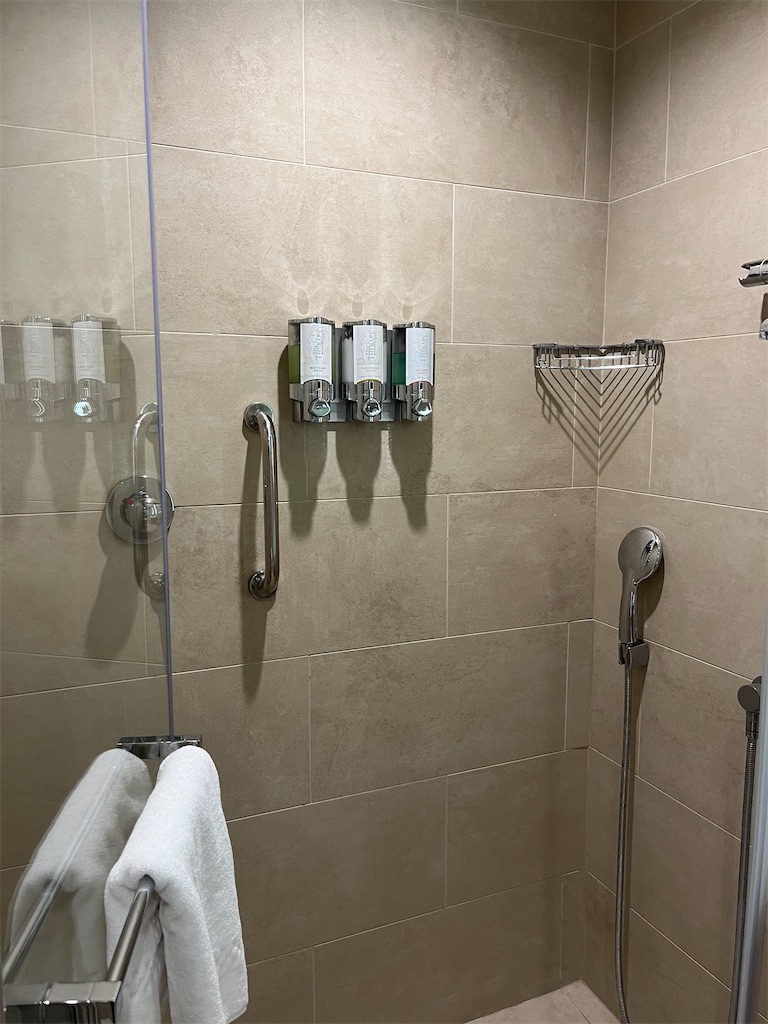 f:id:aoiropenguin:20230531221712j:image