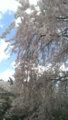 20140405143921