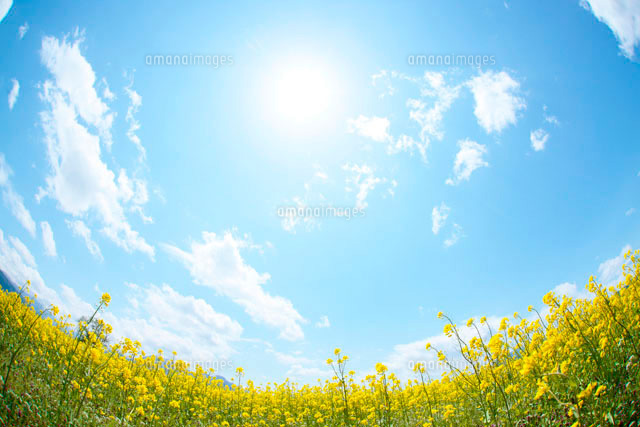 f:id:aoisoa:20210916203546j:plain