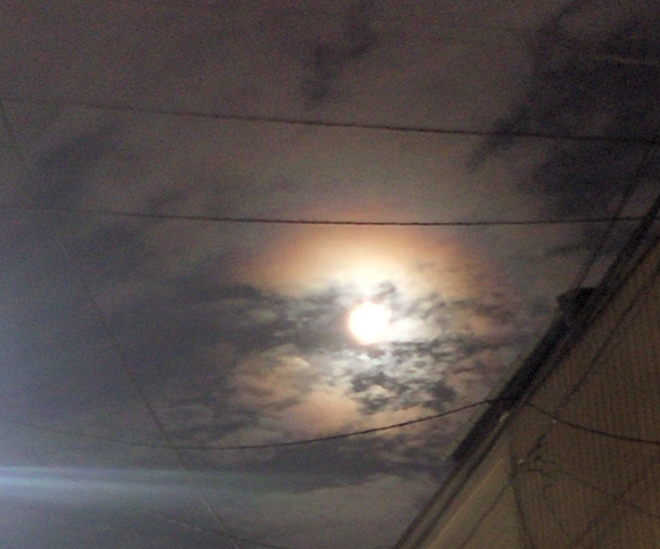 f:id:aoisoa:20210921203900j:plain
