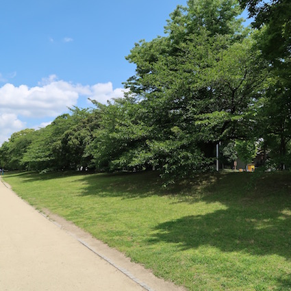 f:id:aoisora123:20180617165051j:plain f:id:aoisora123:20180617165051j:plain