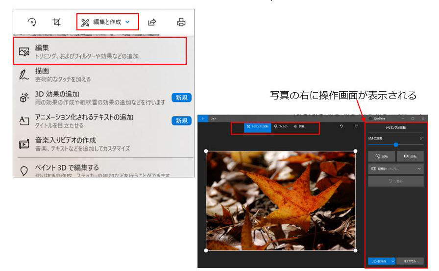 f:id:aoisora3:20210520195413j:plain