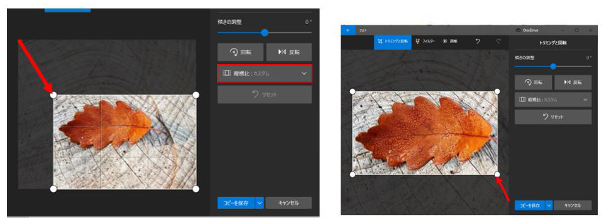f:id:aoisora3:20210520203045j:plain