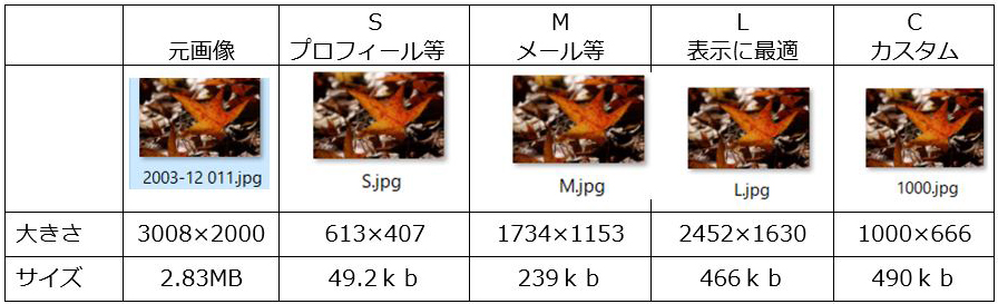 f:id:aoisora3:20210520205746j:plain