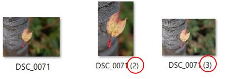 f:id:aoisora3:20210520211136j:plain