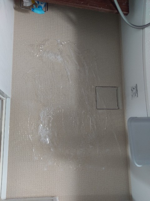 f:id:aoisorax:20190609143040j:plain f:id:aoisorax:20190609143040j:plain