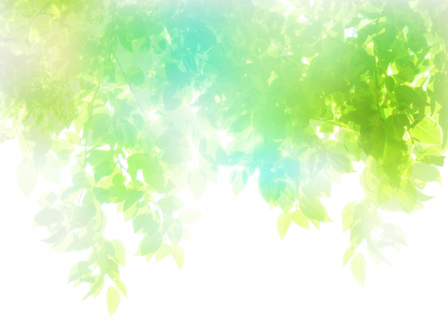 f:id:aoitete:20201230182433j:plain