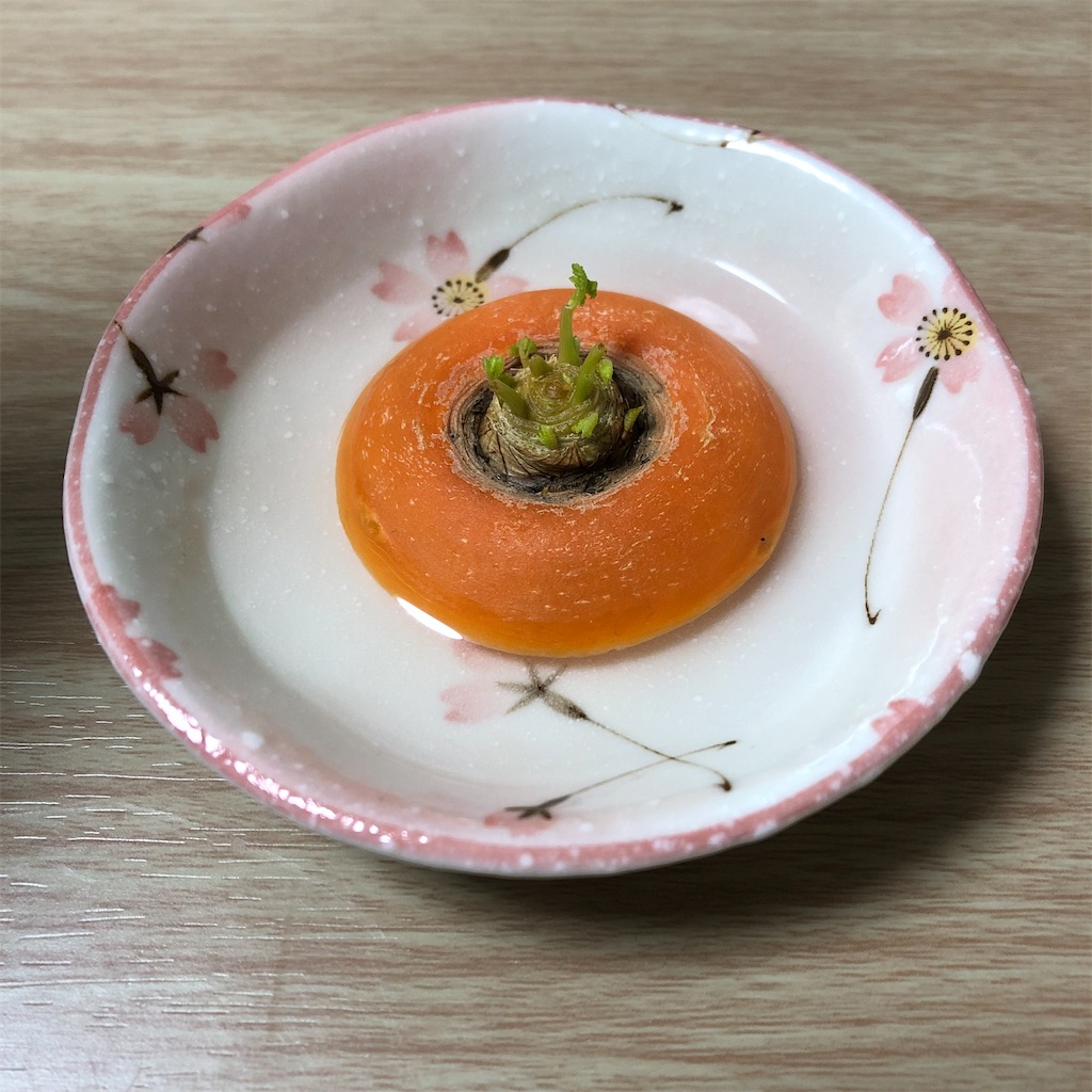 f:id:aoitoriwosagasite:20230228163844j:image f:id:aoitoriwosagasite:20230228163844j:image