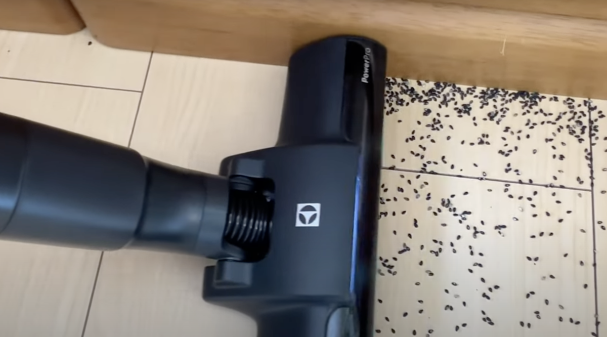 今が買い時!】超高性能スティック掃除機 Electrolux 今が買い時!】超高性能スティック掃除機 Electrolux