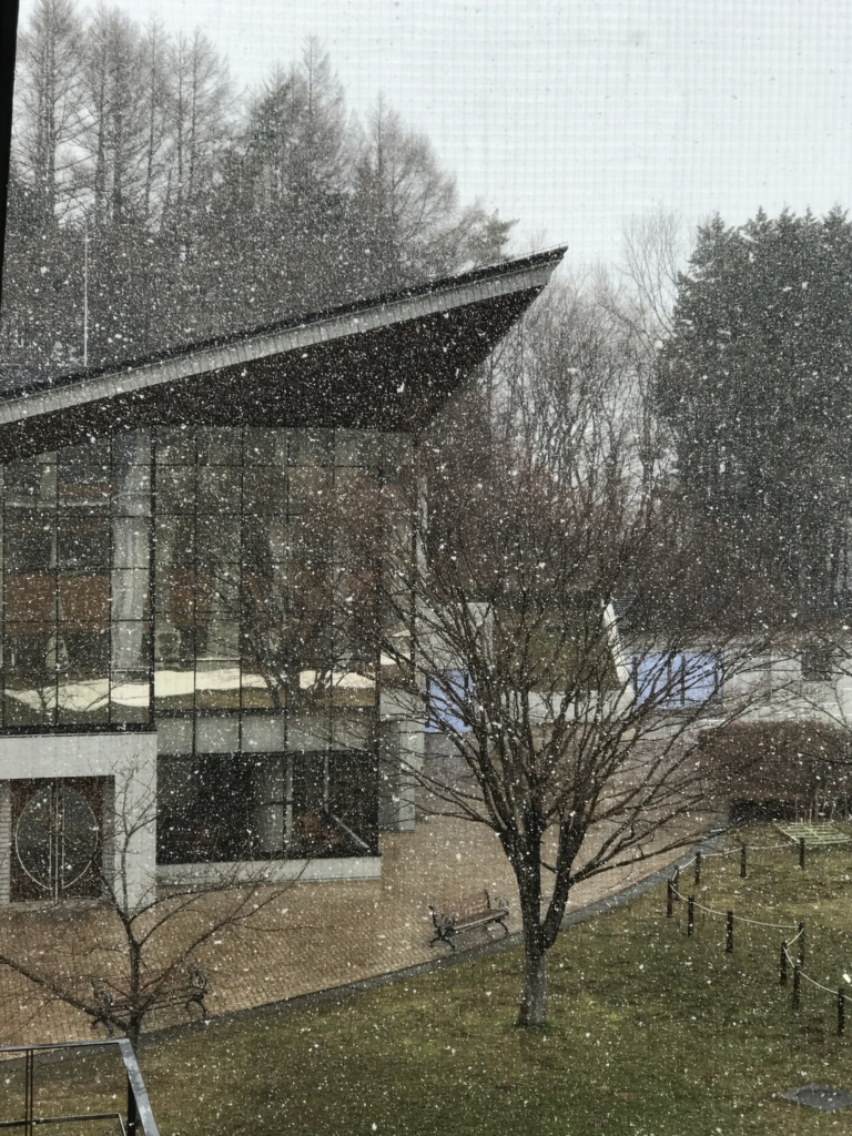 f:id:aoiumi-concepcion:20170626103825j:plain