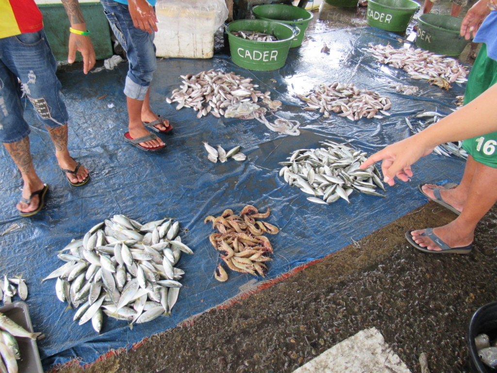 f:id:aoiumi-concepcion:20170828122715j:plain