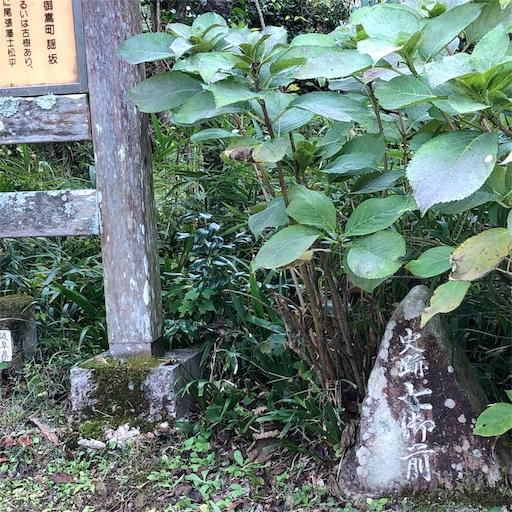 f:id:aojiiru:20191103205218j:image