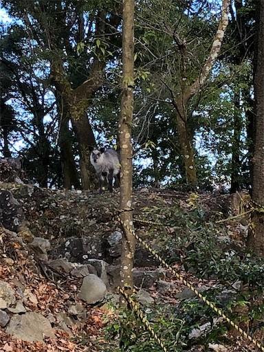 f:id:aojiiru:20191228215321j:image
