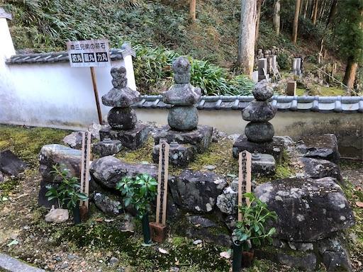 f:id:aojiiru:20191229142039j:image