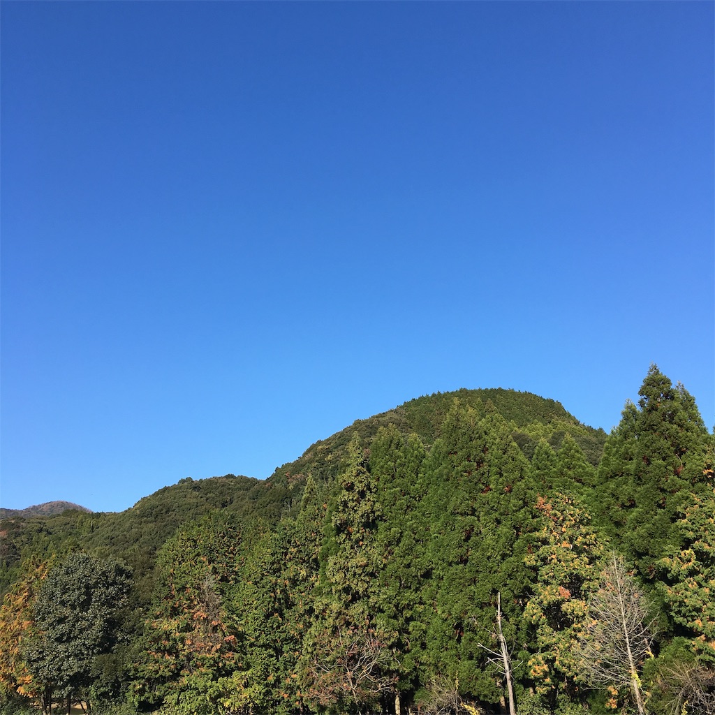 f:id:aokaba2:20181218144920j:image f:id:aokaba2:20181218144920j:image