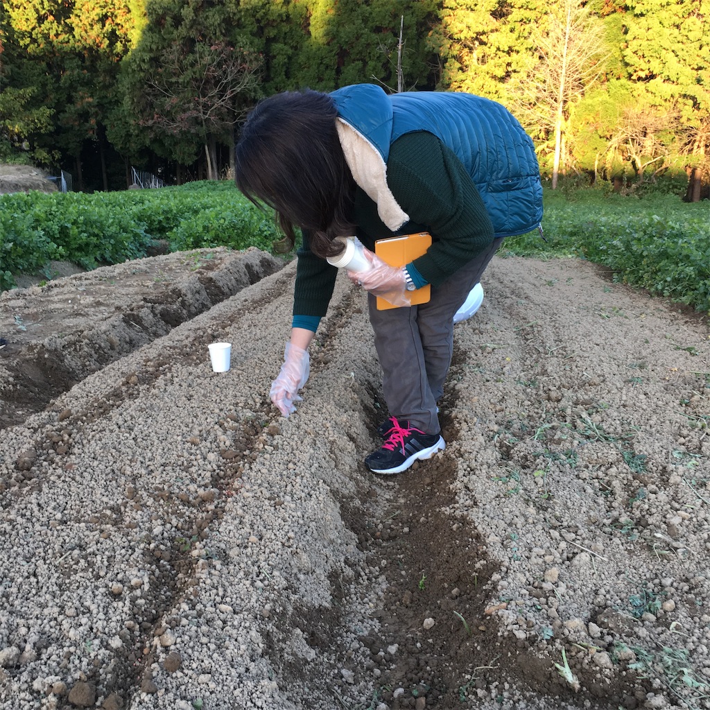 f:id:aokaba2:20190117095019j:image f:id:aokaba2:20190117095019j:image