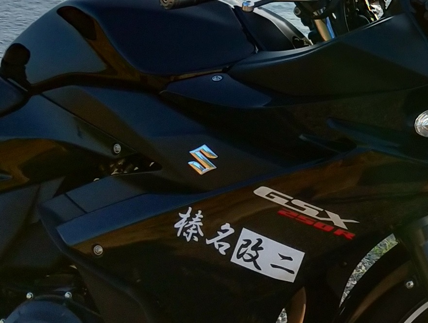 Gsx250r 1年インプレッション アオカケスの鳥かご