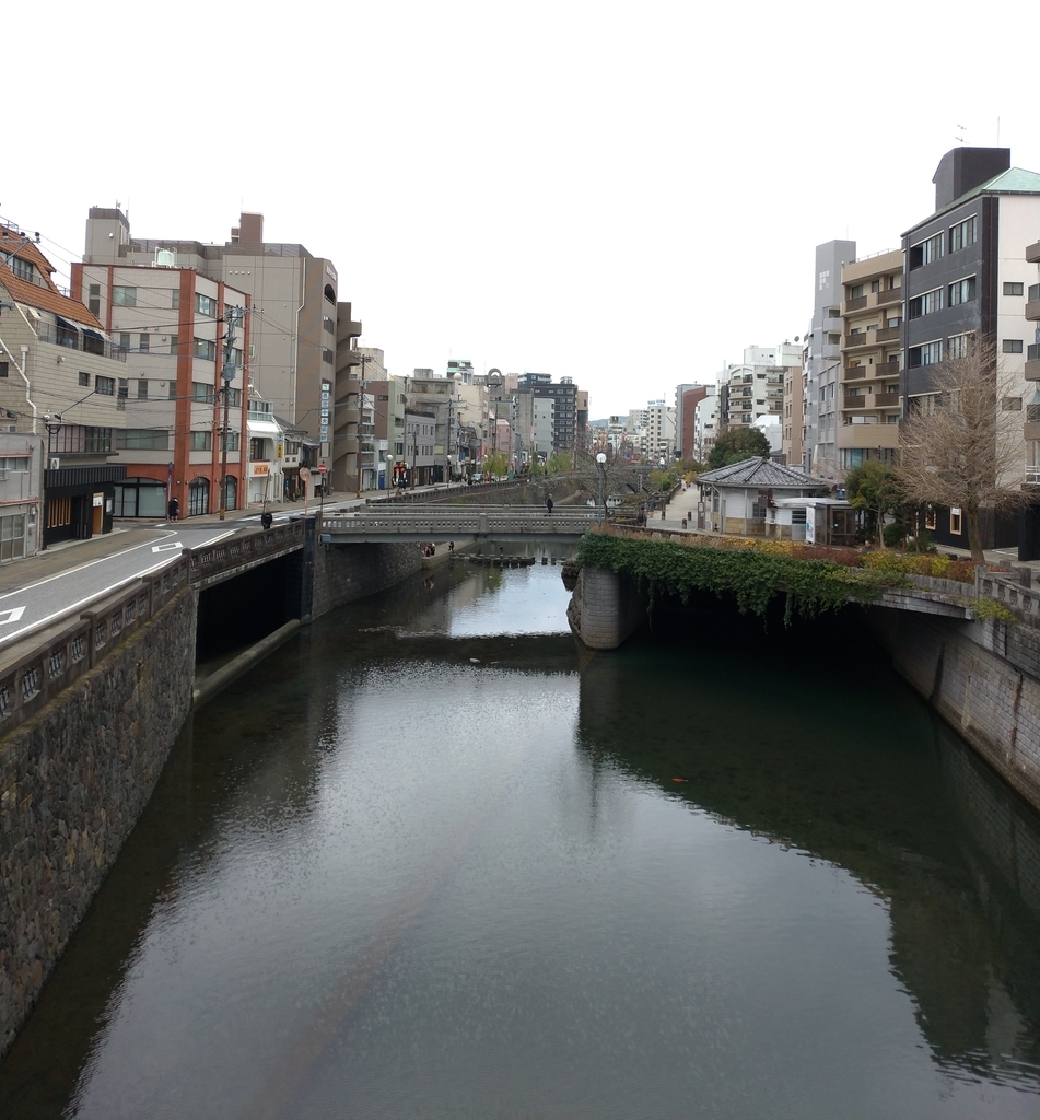 f:id:aokakes:20190110161751j:plain f:id:aokakes:20190110161751j:plain