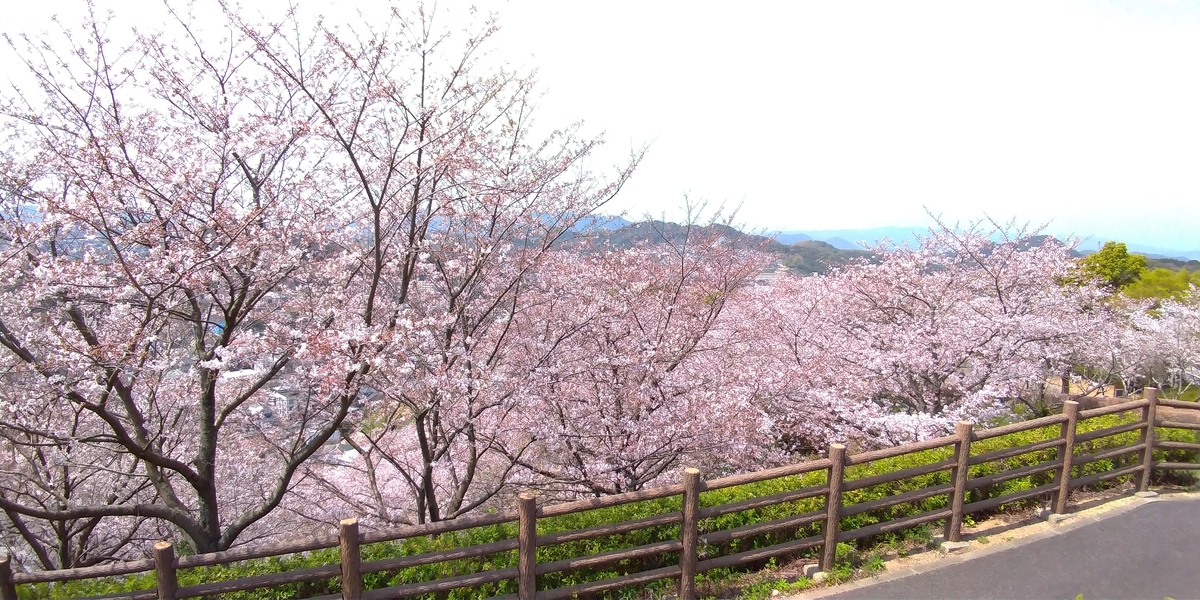 f:id:aokakes:20190331220426j:plain
