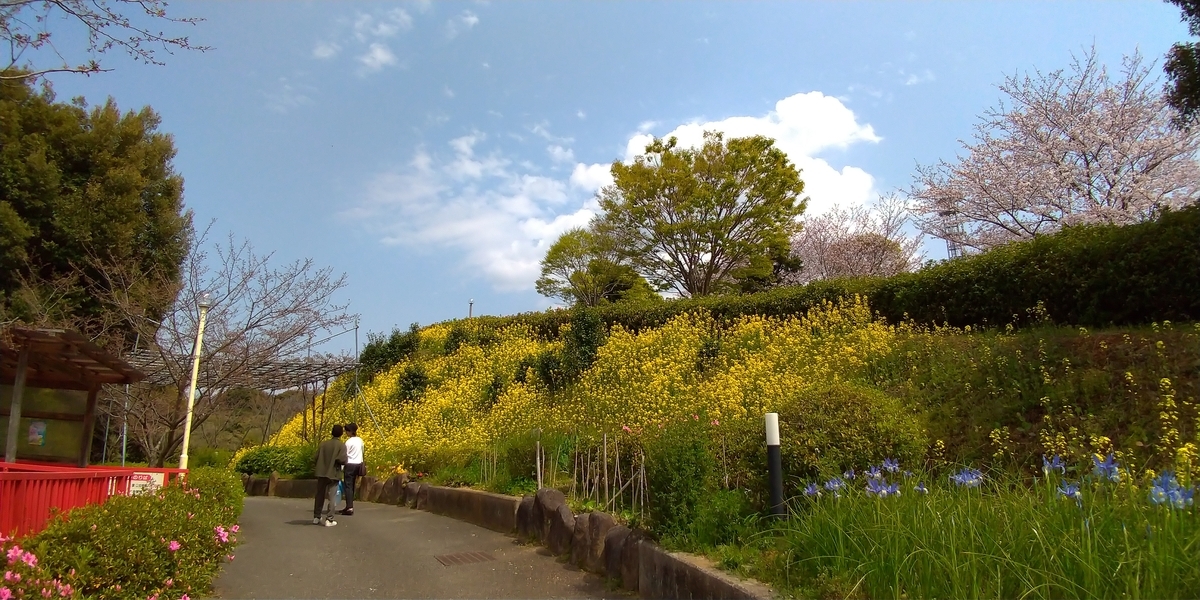 f:id:aokakes:20190331221230j:plain